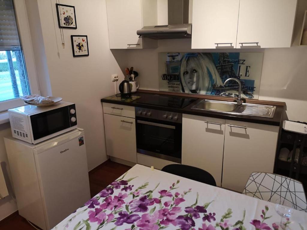 Apartman Savska *